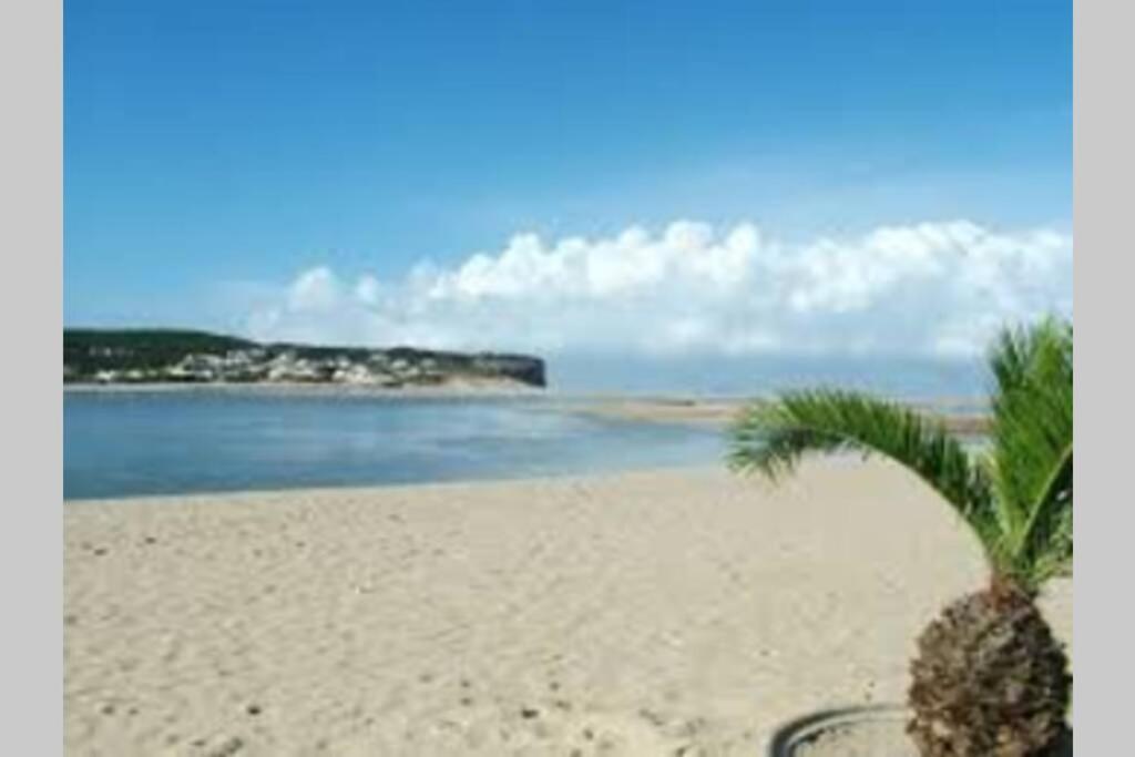 Blue Lagoon - Condominio Fechado Lagoa De Obidos 福斯·杜·阿勒奥 外观 照片