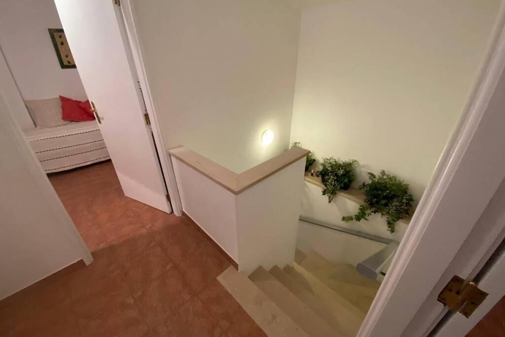 Blue Lagoon - Condominio Fechado Lagoa De Obidos 福斯·杜·阿勒奥 外观 照片